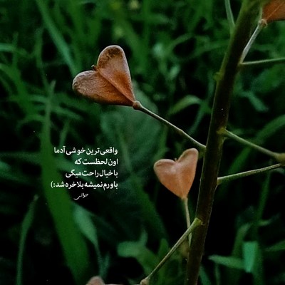 علی سورنا آرمین زارعی هایده هنوز واسه من همونی همونی